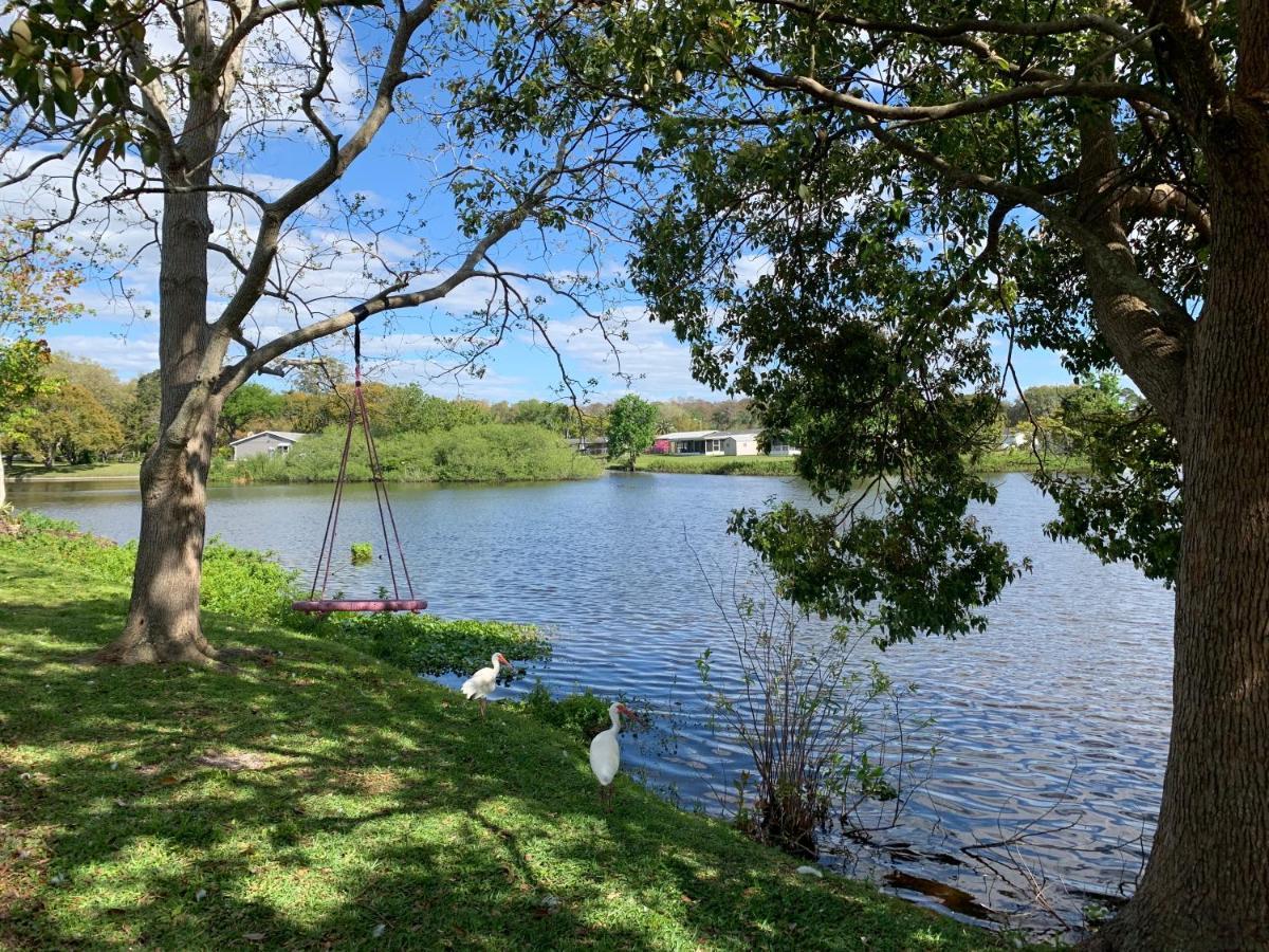 הוילה ניו פורט ריצ'י Private Tropical Waterfront Sanctuary W Pool, Hot Tub & An Island! Pet Friendly מראה חיצוני תמונה