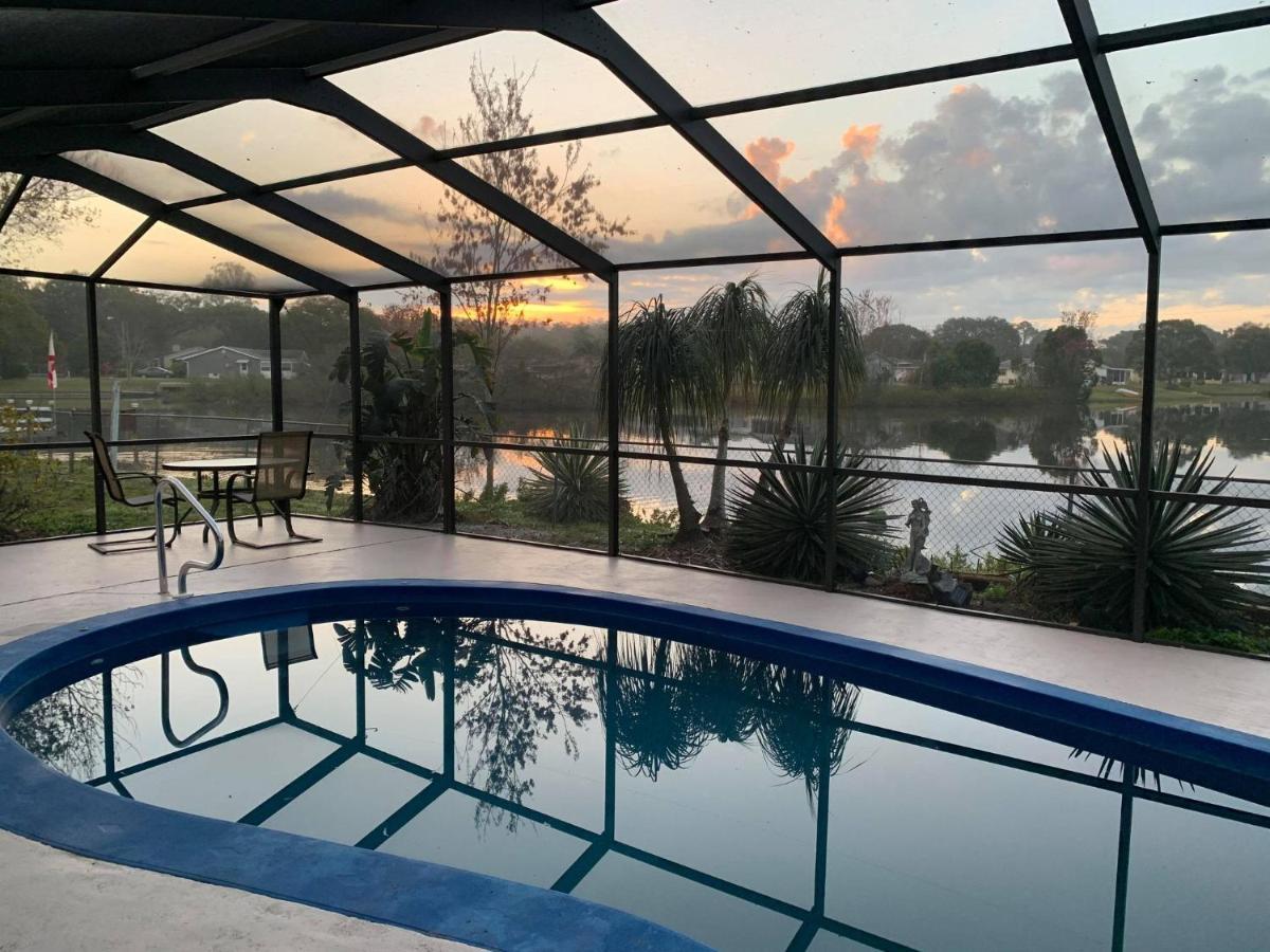 הוילה ניו פורט ריצ'י Private Tropical Waterfront Sanctuary W Pool, Hot Tub & An Island! Pet Friendly מראה חיצוני תמונה