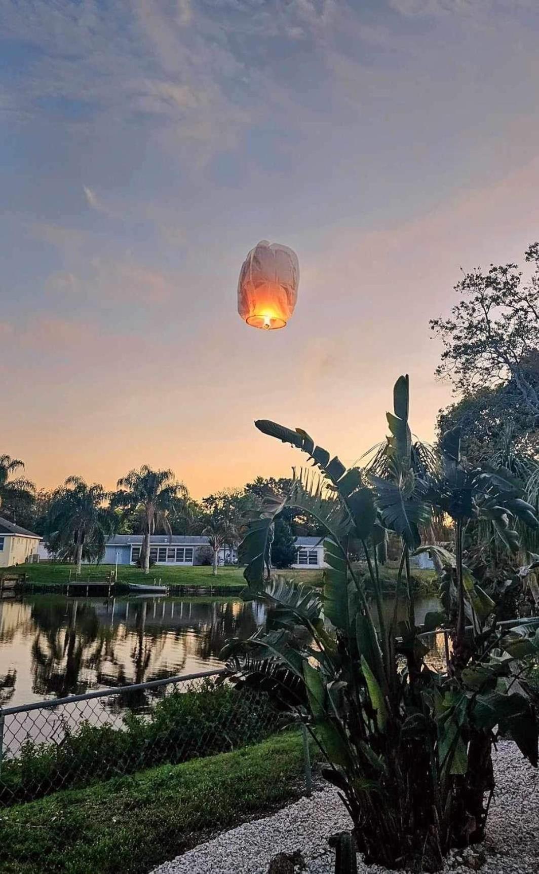 הוילה ניו פורט ריצ'י Private Tropical Waterfront Sanctuary W Pool, Hot Tub & An Island! Pet Friendly מראה חיצוני תמונה